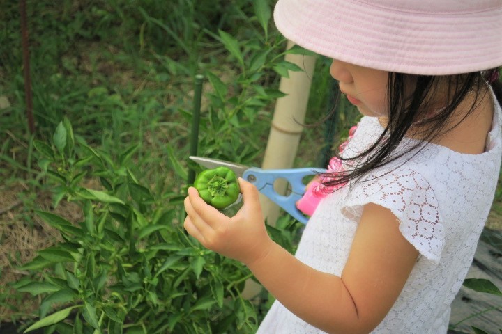 e0300042_21210900.jpg