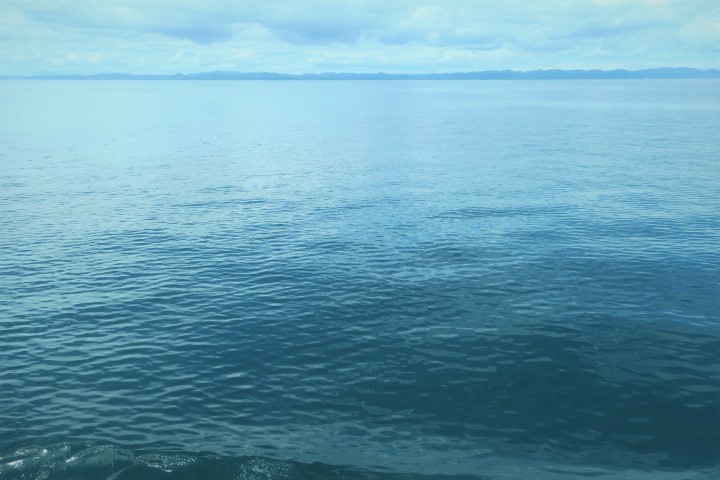 e0300042_21322103.jpg