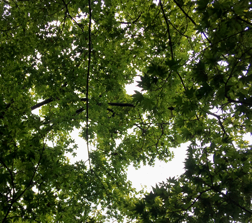 d0026745_04303794.jpg