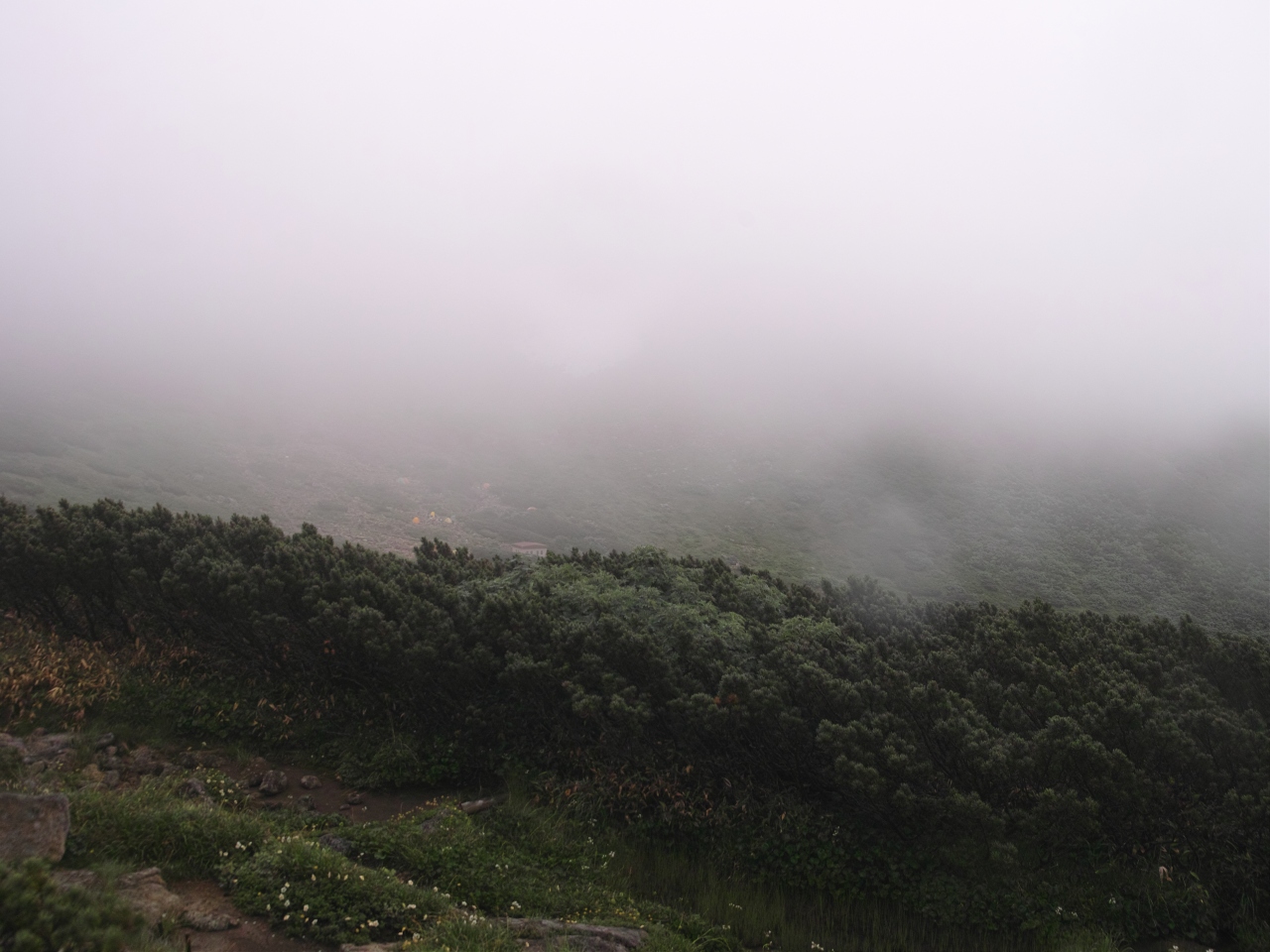 c0008948_16124869.jpg