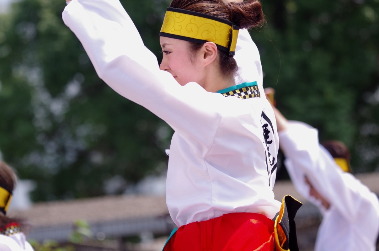 ２０１７高知よさこい祭り本番１日目その１０（姫龍zその１）_a0009554_22423358.jpg