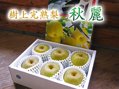 熊本梨 熊本のブランド梨『秋麗(しゅうれい)』平成29年度の先行予約受付スタート!!_a0254656_17400767.jpg