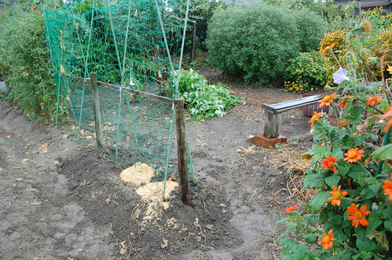 c0108460_15564412.jpg