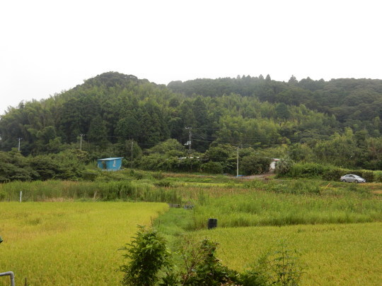 f0060461_10530041.jpg