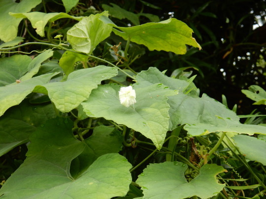 f0060461_10572196.jpg