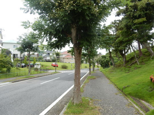 f0060461_11102581.jpg