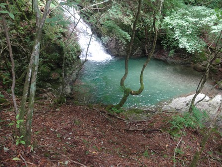 赤い岩の滝　　矢納谷　赤ナメクチキの滝_c0303868_05350256.jpg