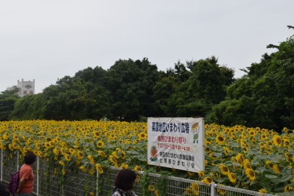 b0242873_09375121.jpg