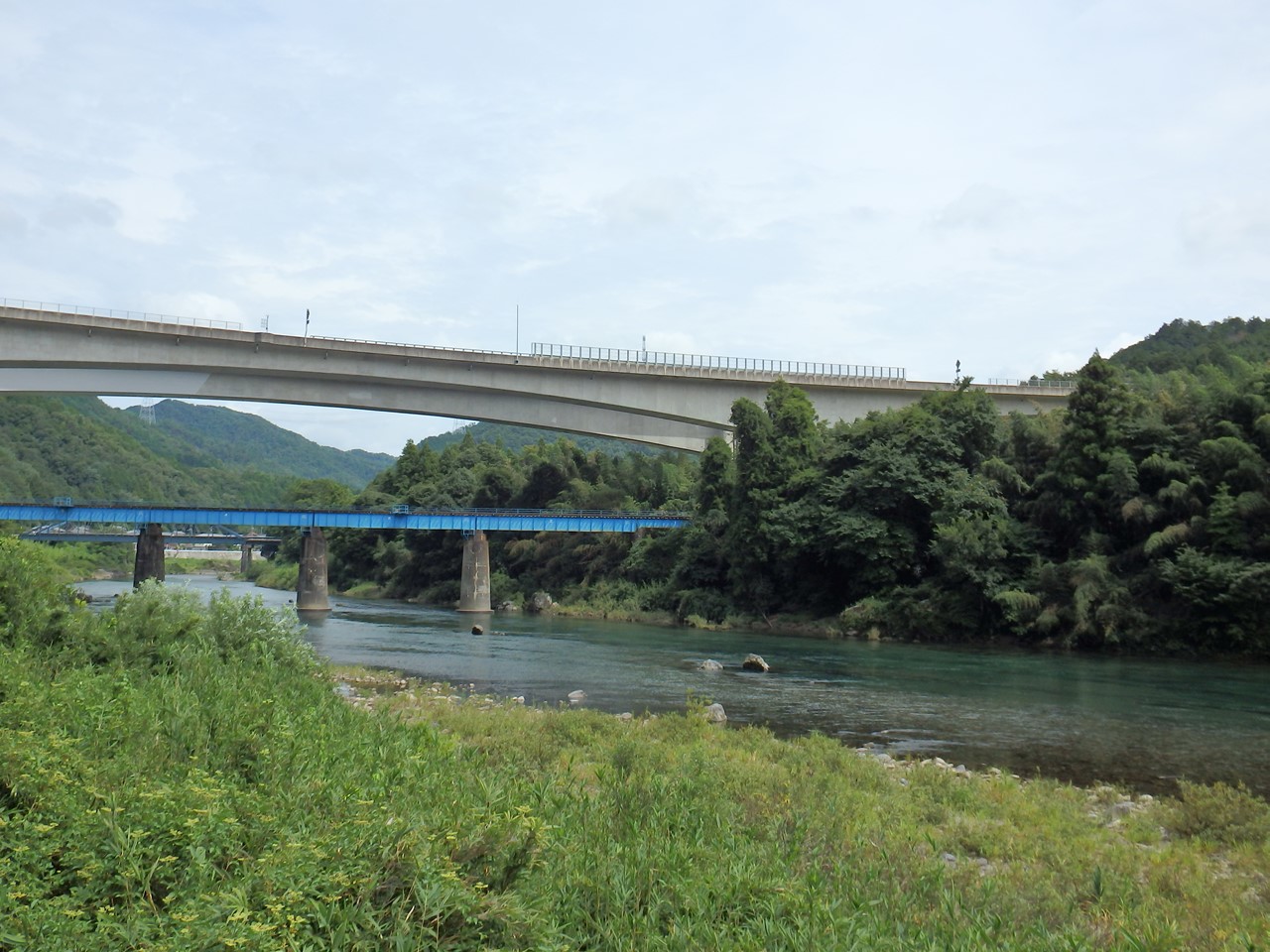 『夏水仙(ナツズイセン)や臭木(クサギ)の花の咲く川沿いの道～』_d0054276_2020797.jpg