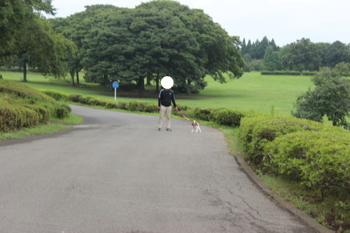 e0114977_11381620.jpg
