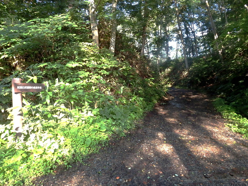 f0372177_21430057.jpg