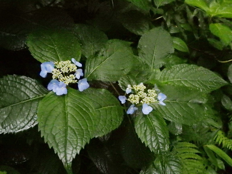 f0372177_21453262.jpg