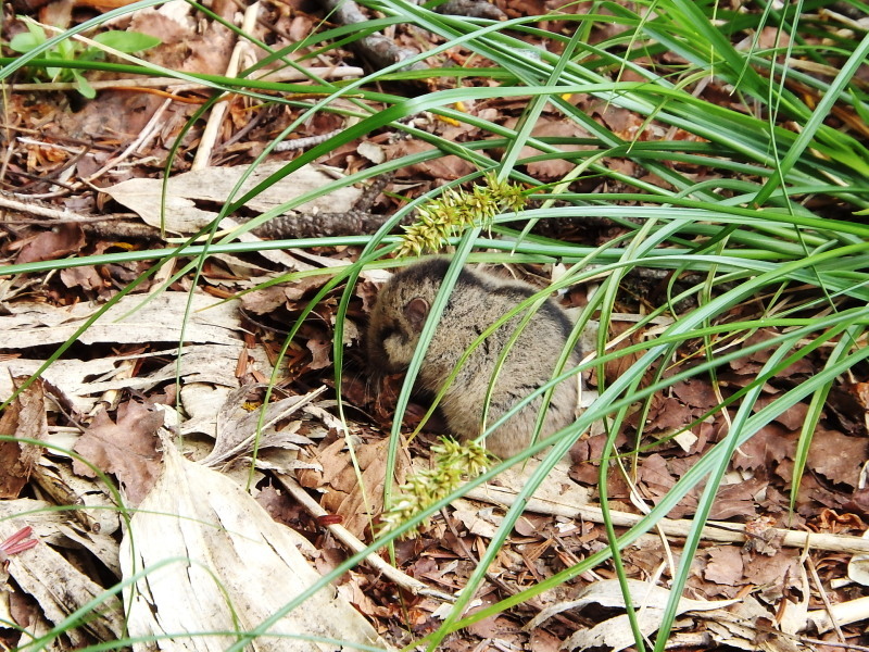 f0372177_21491920.jpg