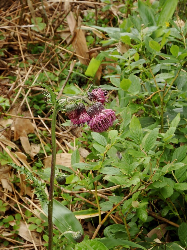 f0372177_21504950.jpg