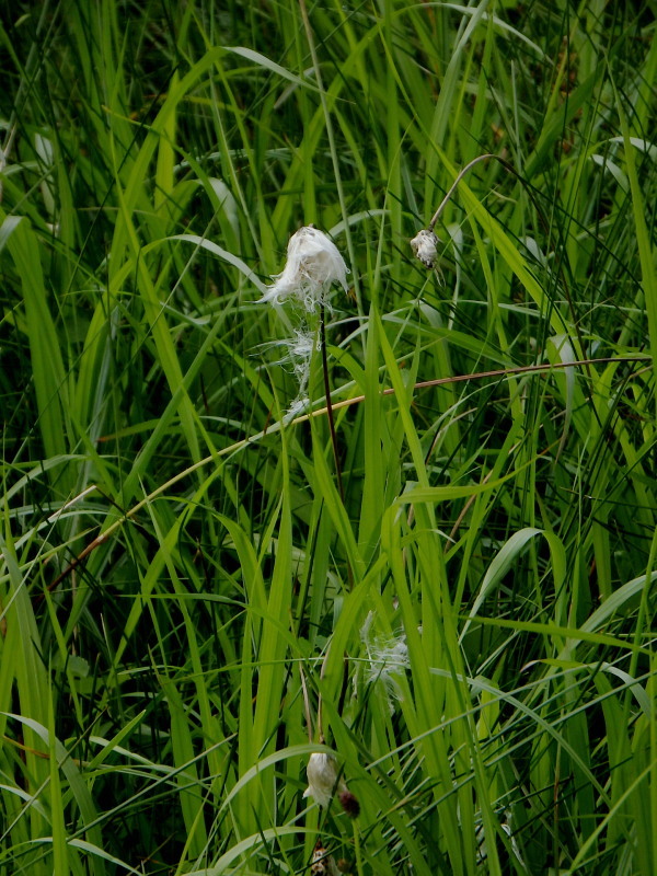 f0372177_21521839.jpg
