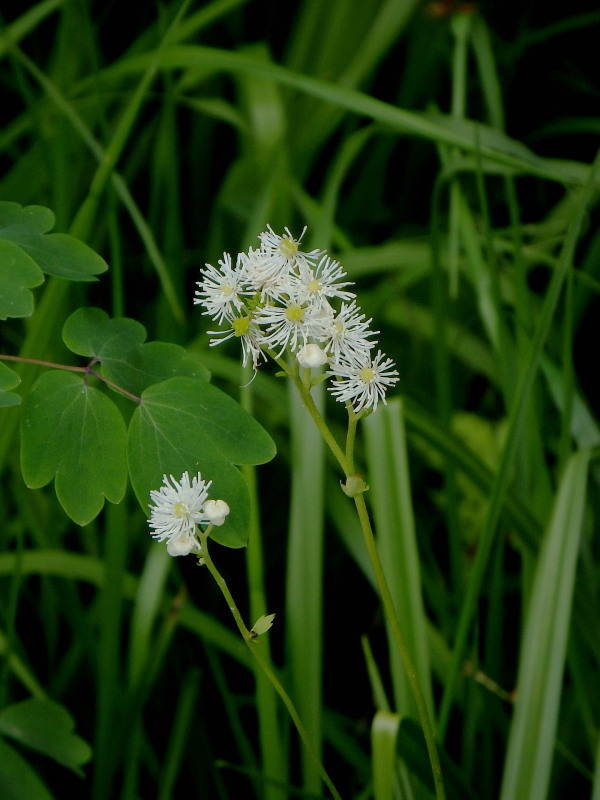 f0372177_21524826.jpg