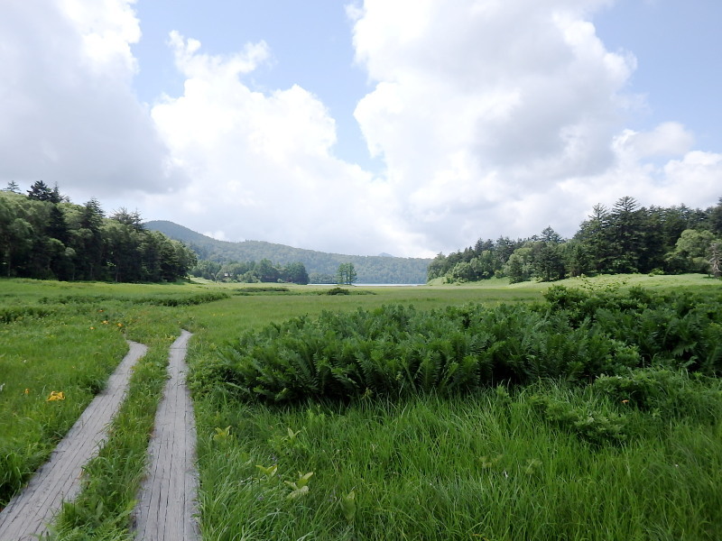 f0372177_21541951.jpg
