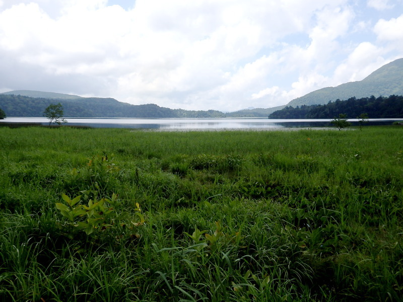 f0372177_22334673.jpg