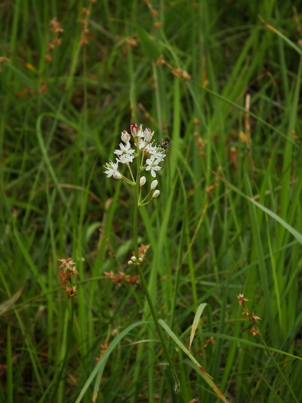 f0372177_22340615.jpg