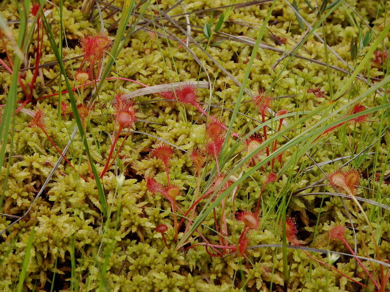 f0372177_22341494.jpg