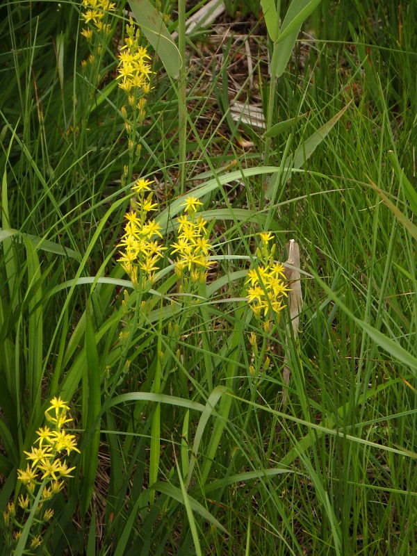 f0372177_22341754.jpg