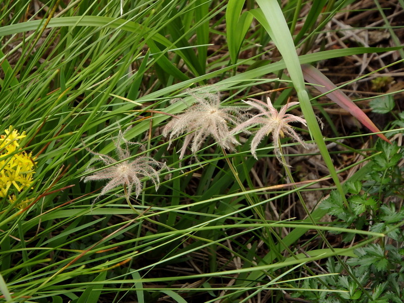 f0372177_22342086.jpg