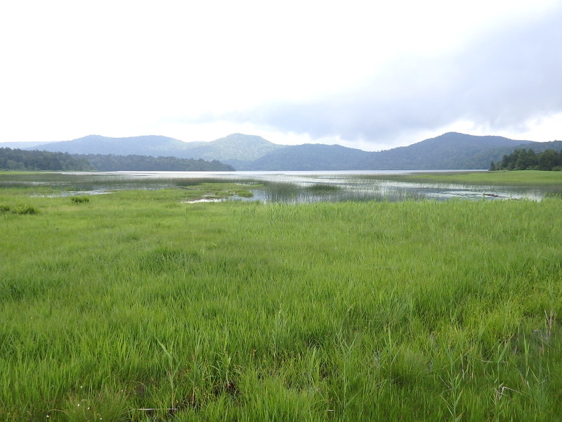 f0372177_22344308.jpg