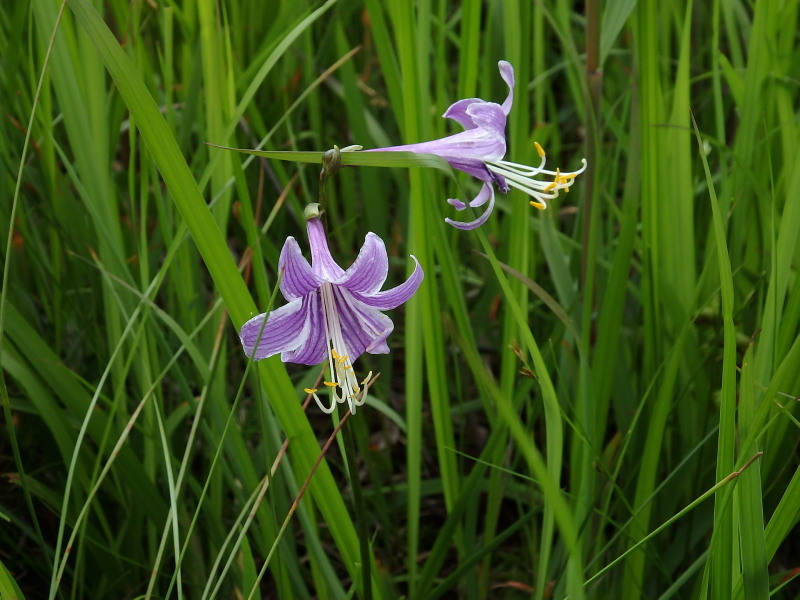 f0372177_22344665.jpg