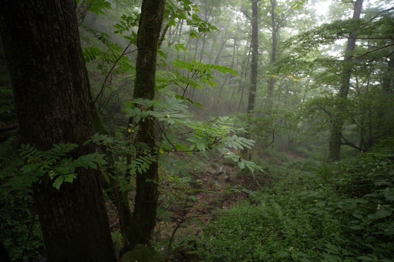 a0327791_22334745.jpg