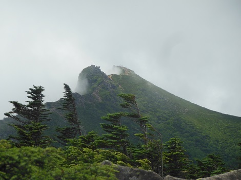 天狗岳（1日目・白駒池～天狗岳～根石岳山荘）_c0034391_12392423.jpg