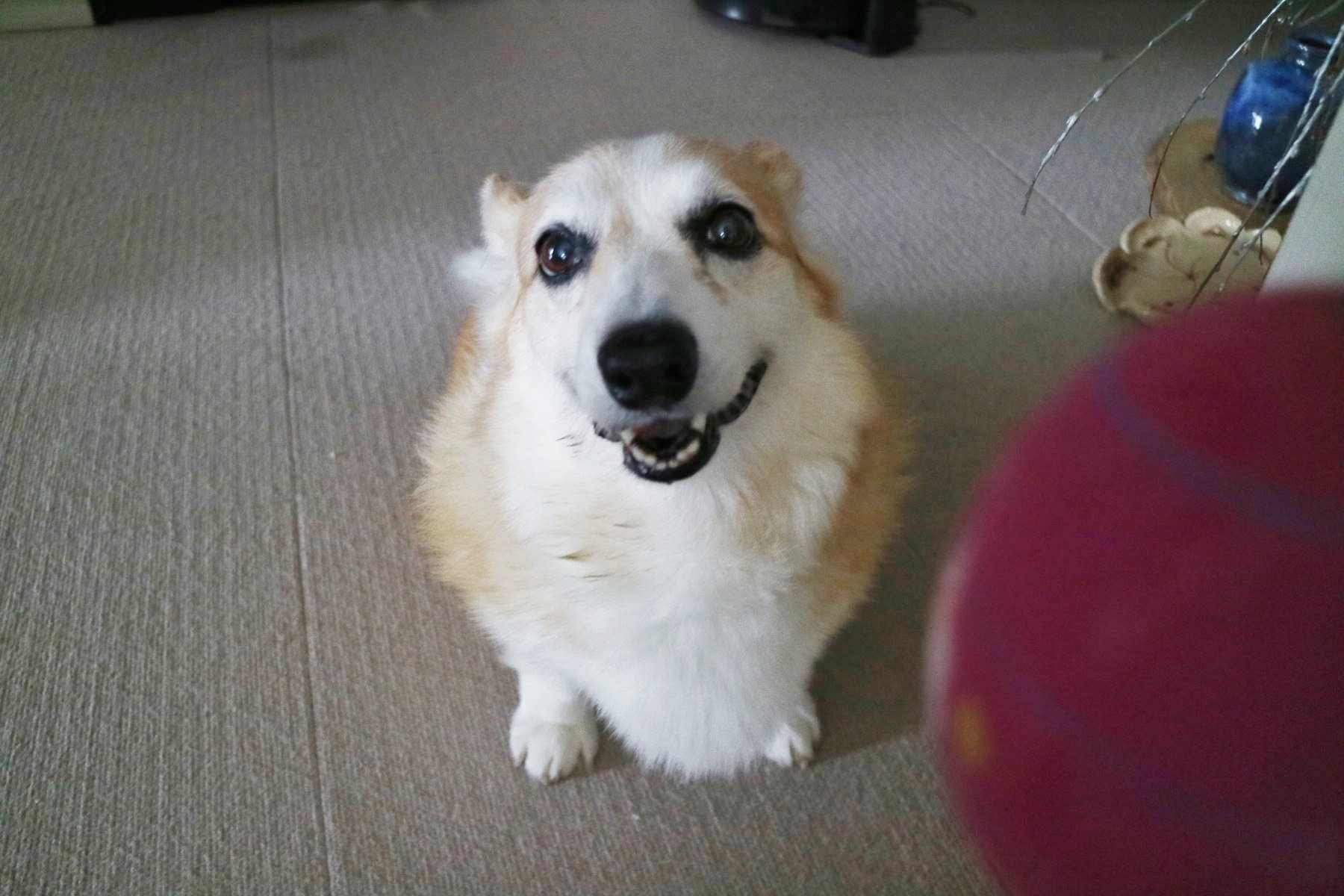 f0075595_21022930.jpg