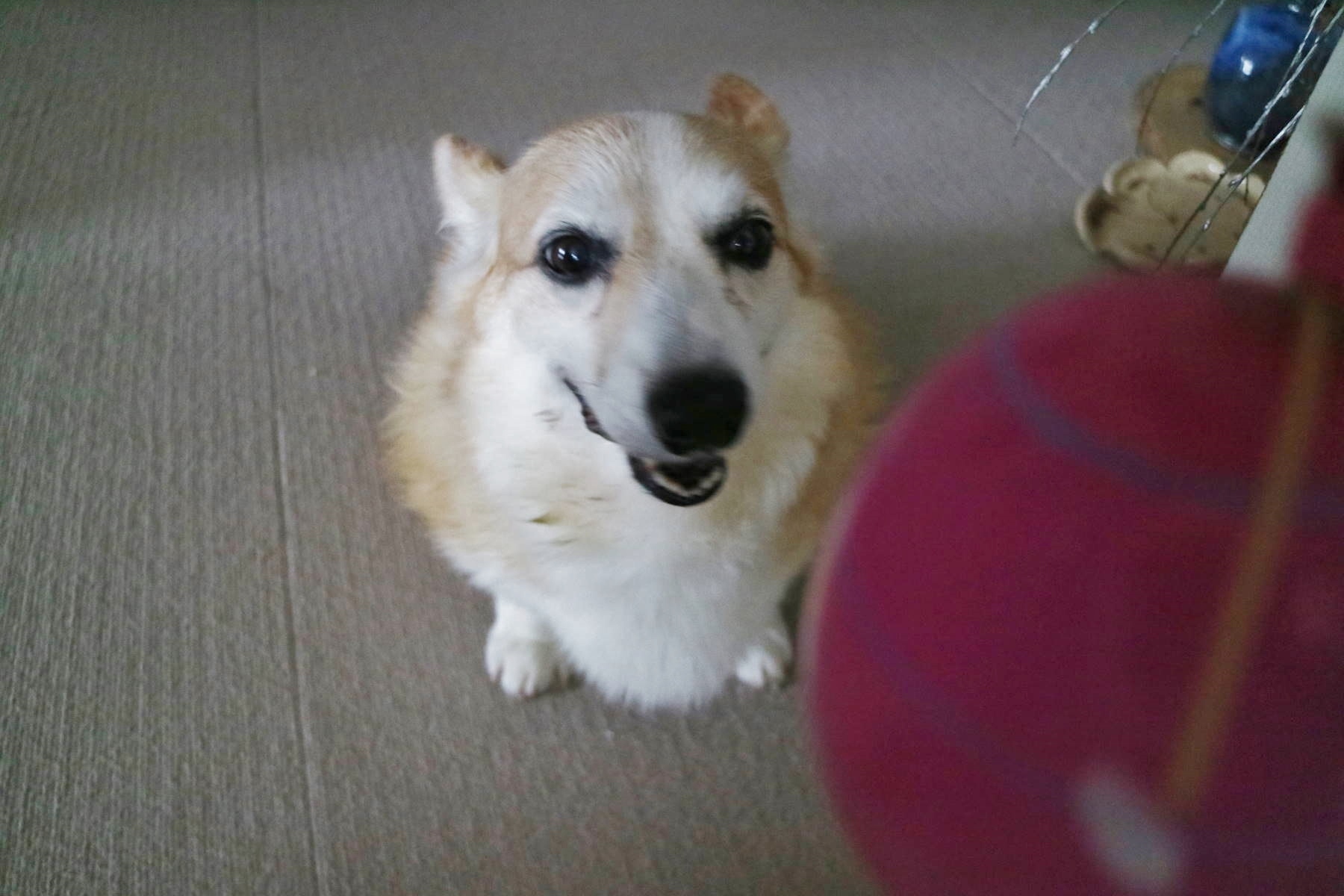 f0075595_21024440.jpg