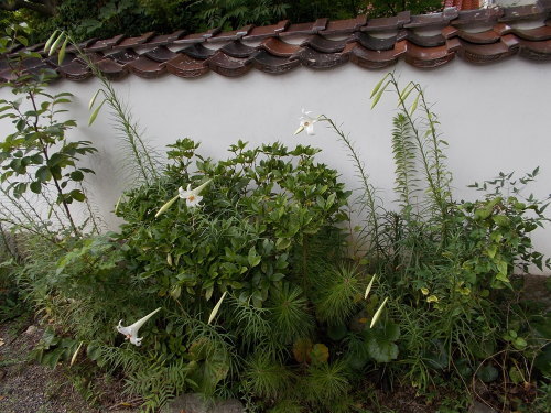 c0192503_16160647.jpg