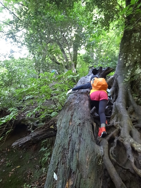 三徳山三佛寺 投入堂@鳥取県東伯郡三朝町_f0197703_11020574.jpg