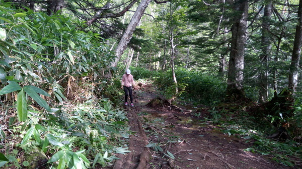 c0266004_18495522.jpg