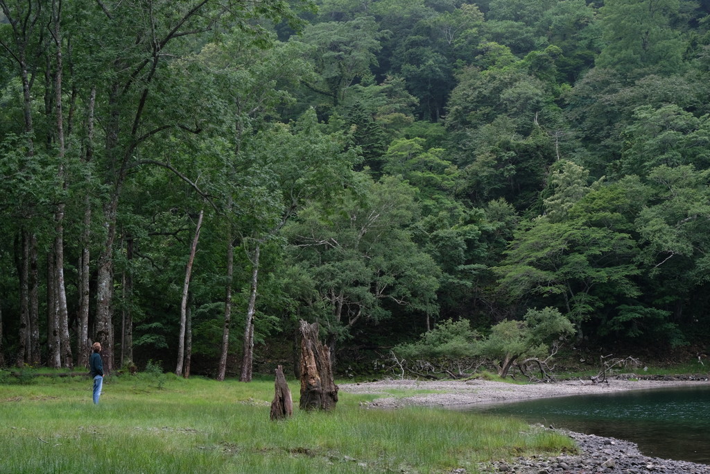 d0051707_20523957.jpg