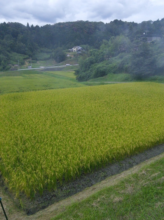 c0149408_09423022.jpg