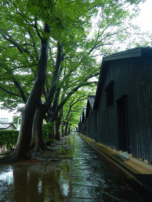 e0243008_14564729.jpg