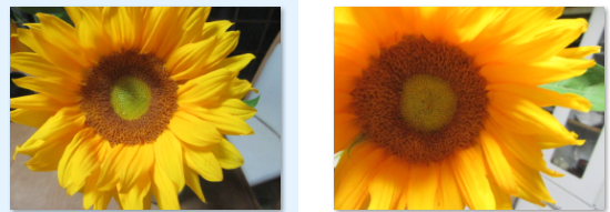 f0231709_02122249.png