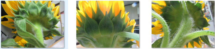 f0231709_02142156.png