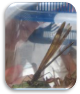 f0231709_09381277.png