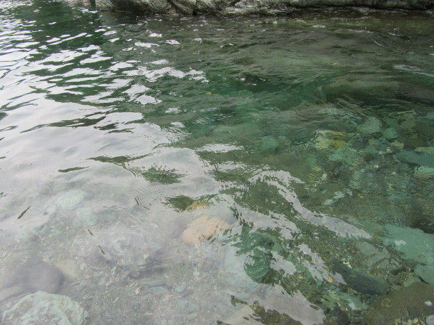 f0231709_09402428.jpg