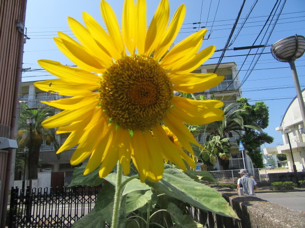 f0231709_23502750.jpg