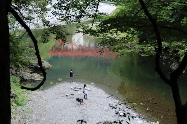 奥多摩（氷川・日原）_e0285612_13201788.jpg