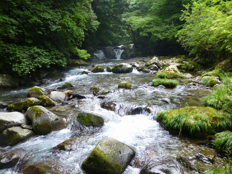 f0182513_23044744.jpg