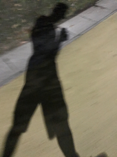 c0238519_21420962.jpg