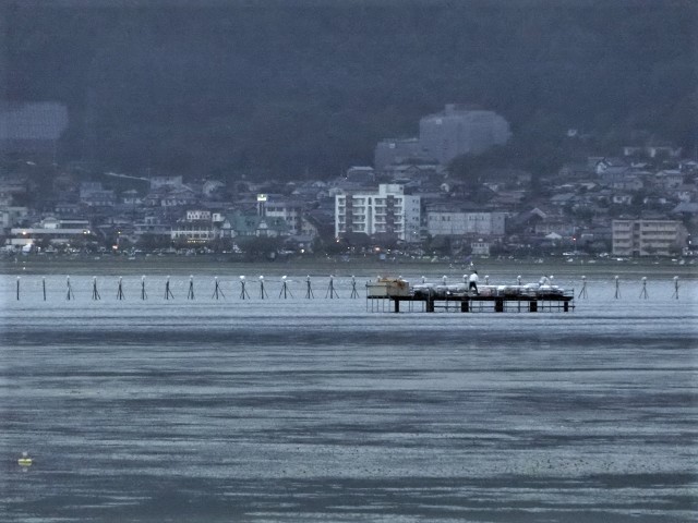 f0354923_23085838.jpg