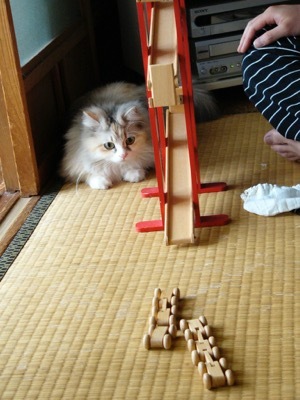 愛猫リサが旅立ちました_a0284626_01120359.jpg