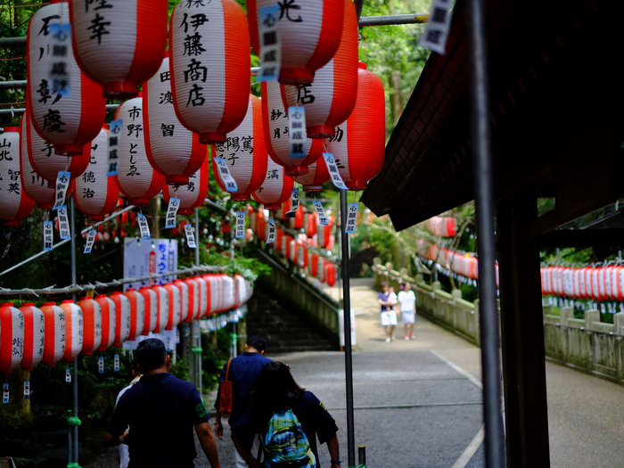 「歴史は280年!多度大社参道にある鯉料理 大黒屋」_a0000029_15331621.jpg