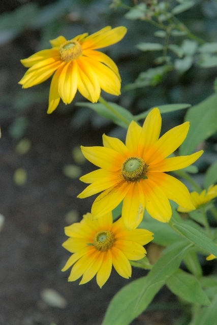 f0158043_22190442.jpg